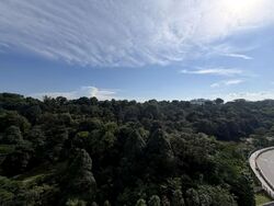 Normanton Park (D5), Apartment #603847431